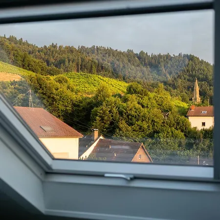 Apartman Happy Hugle Haus Offenburg
