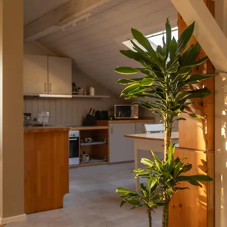 Lejlighed Happy Hugle Haus Offenburg